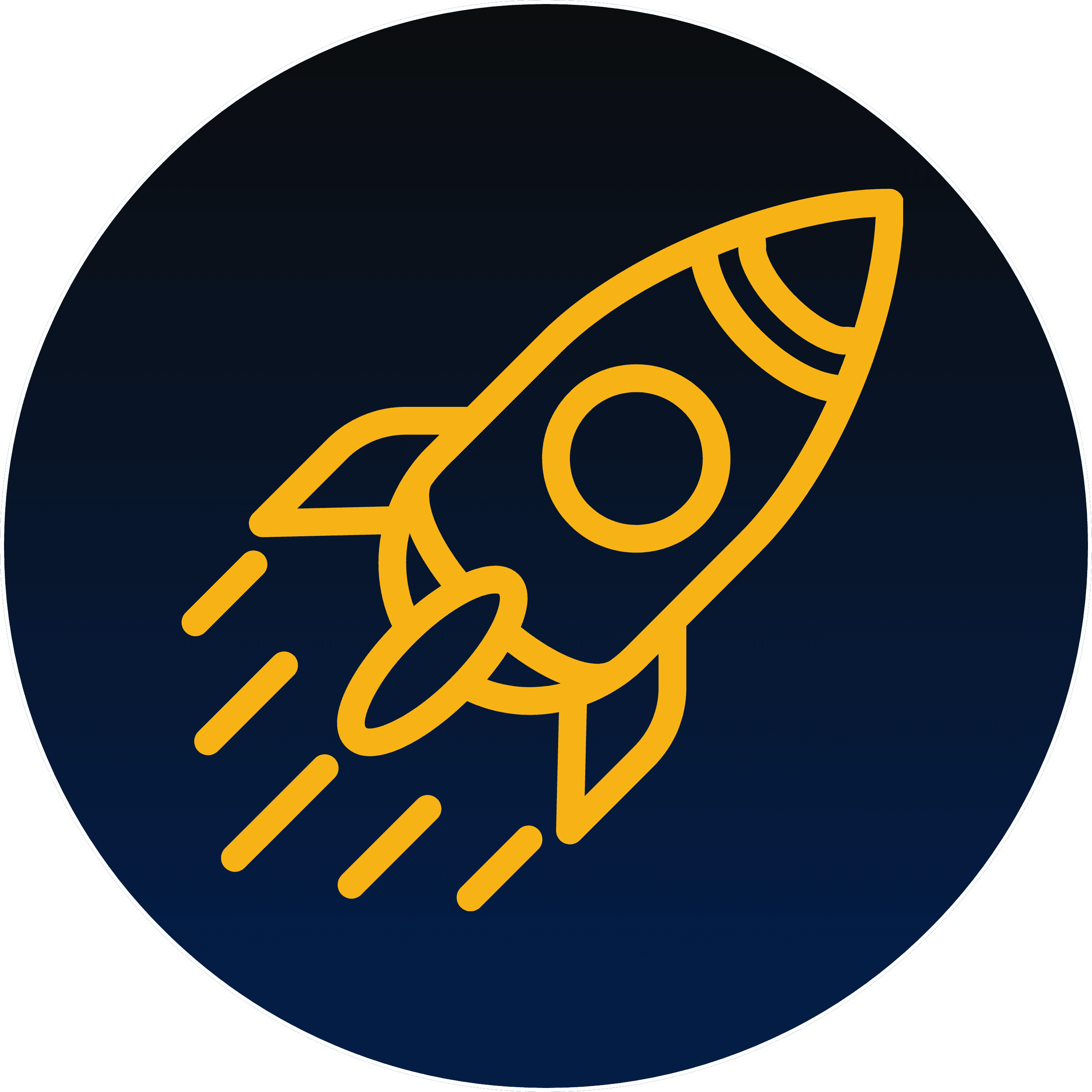 Icon 1